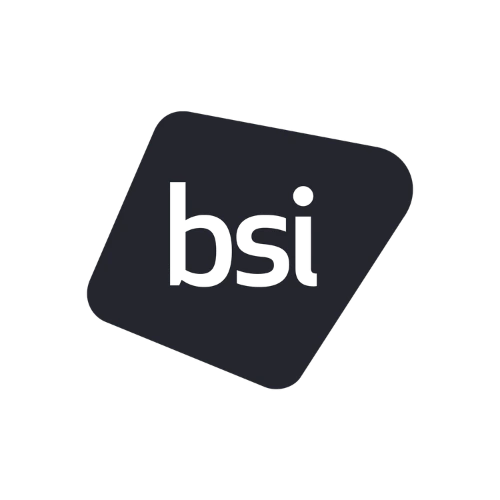 BSI logo image